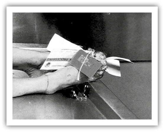 A photo of the mangled feet, tied with morgue documents, of Audrey Nelson. 